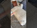 Couch cover that helps keep pet hair and muddy paws off the couch
