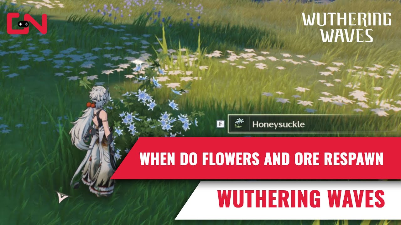 When do Flowers and Ore Respawn in Wuthering Waves?