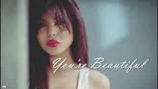 You're Beautiful  –  Peaceful Melody, Soave Lofi,  Amanda Ghost and more【Instrumental Ringtone】