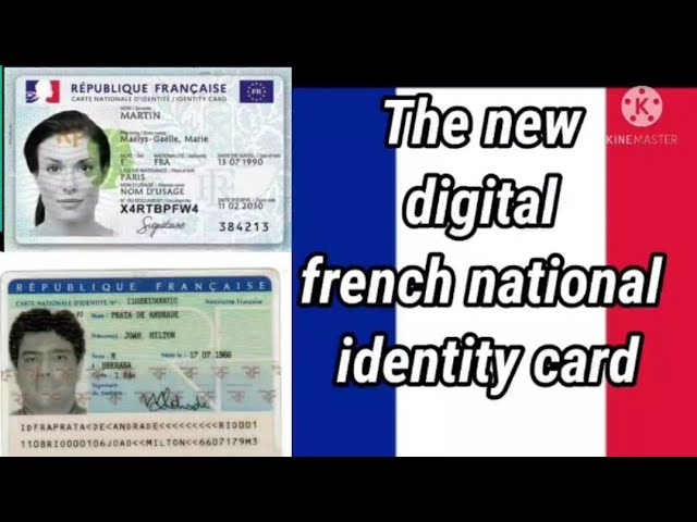 French Id Cards