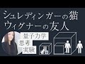 シュレディンガーの猫、ウィグナーの友人