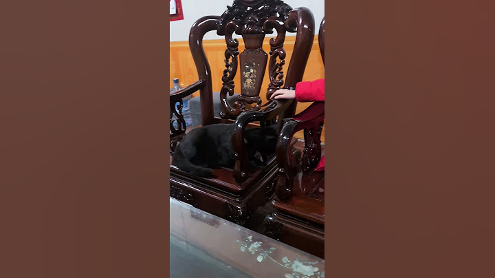 Tự nhiên bị đánh 🤣