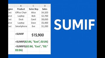 Excel Efficiency Lab - The SUMIF Function