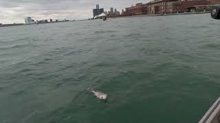 Jigging for Walleye on a windy day (Down Town Detroit)