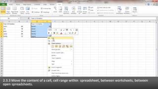 ECDL EXCEL2010 233