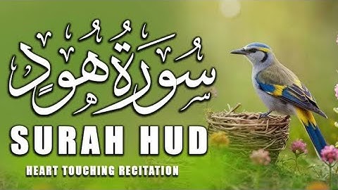 Surah Hud   (سورة هود)