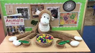EVA's Nursery Induction Video