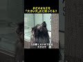 オオカミを近くで見た人が全員ビビる理由