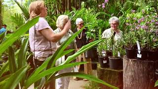 Tour Groups Functions At Bamboo Land