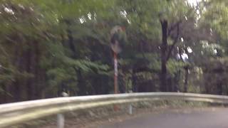まんぷくローカルマラソン旅