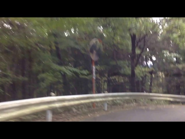 おんせん大好き大分県（湯布院編）桜井響子