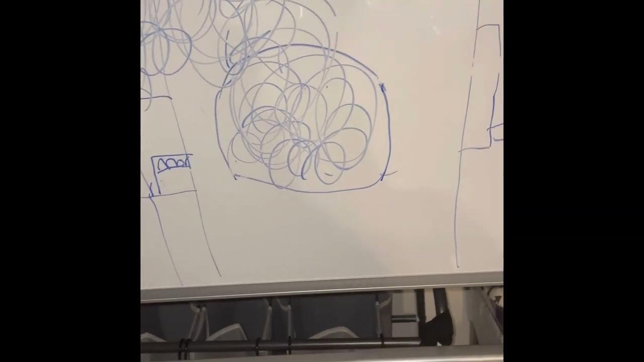 Tangerine part 1 summary YouTube