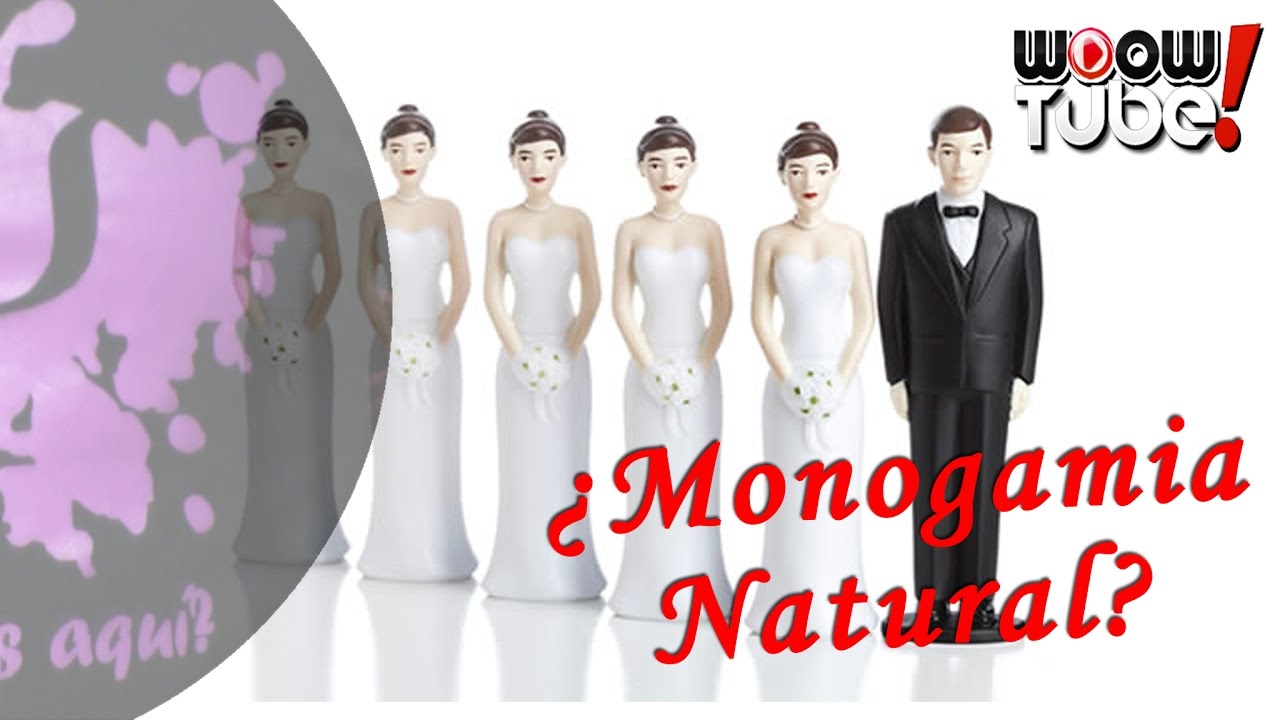 ¿ES LA #MONOGAMIA NATURAL? | por PsicoVlog mentos