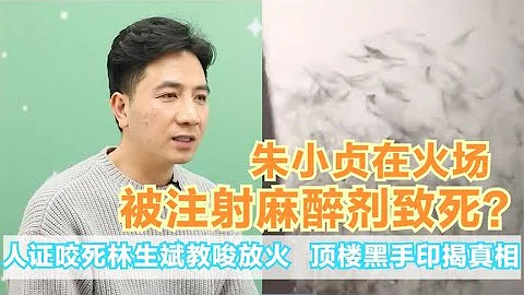 网友新发现，朱小贞并非一氧化碳中毒身亡？林生斌事件何时能结束关注我，了解各种娱乐咨询，不错过任何娱乐大事件~#明星#娱乐#吃瓜#王菲#张杰#张靓颖 - 天天要闻