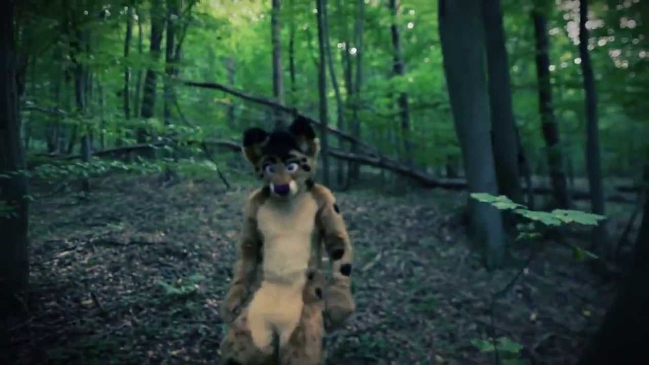 Time to Wander - Fursuit Musicvideo #4 by Willion- 720p