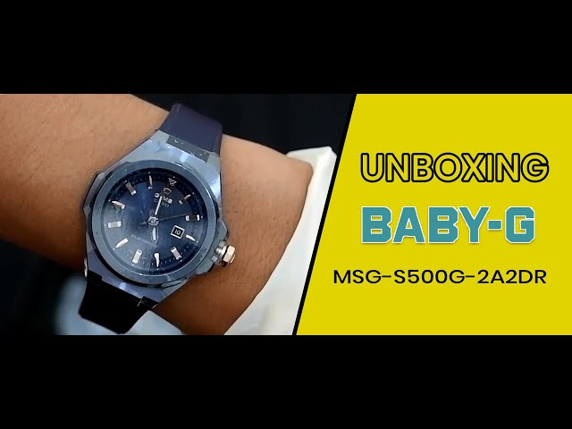 msg s500g 2a2dr