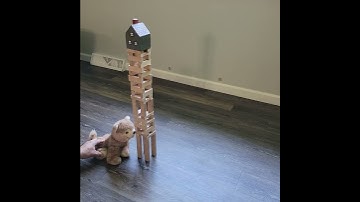 Wolfie vs Jenga blocks (reverse video)