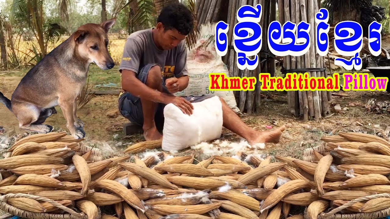 ប្រពៃណីធ្វើខ្នើយសំឡីគរបស់ខ្មែរ /Khmer tradition pillow/Ceiba pentandra