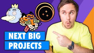 I Like These 3 NFT Projects For 3 Different Reasons - Tigerbob, HypnoDuckz & Bubbleworld