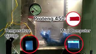 Proteng electronic test