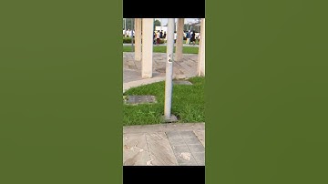 Ananta run at IIT gandhinagar #iit #iitian #sports #shorts #shortvideo #viralvideo