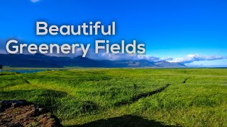 Beautiful Greenery Fields.