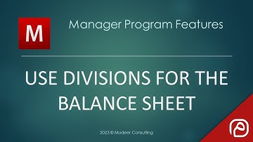 Manager.io Guides: 51 Use divisions for the Balance Sheet