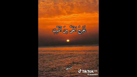 *فَسُبْحَانَ اللهِ حِينَ تُمْسُونَ وَحِينَ تُصْبِحُونَ**من سورة الروم- آية (17)*♥