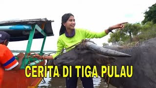 [FULL] CERITA DI TIGA PULAU | JEJAK PETUALANG (22/11/23)