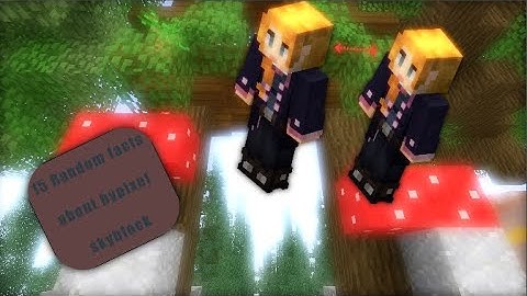 15 Random FACTS about Hypixel skyblock