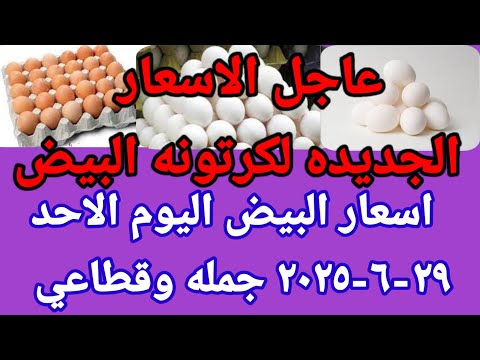 سعر البيض اسعار البيض اليوم الاحد 29 6 2025 جمله وقطاعي فى مصر