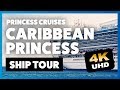 Caribbean Princess cruise ship tour - YouTube