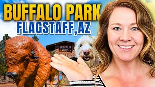 Flagstaff AZ is HIDDEN GEM for Outdoor Enthusiasts