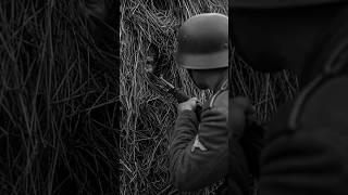 The Sniper Hidden Inside A Haystack While Germans Searched It
