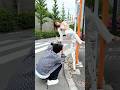 雑誌表紙撮ってみた