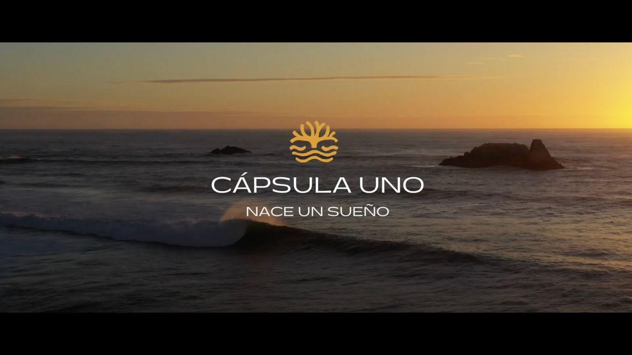 Cápsula Colegio Humboldt — El origen