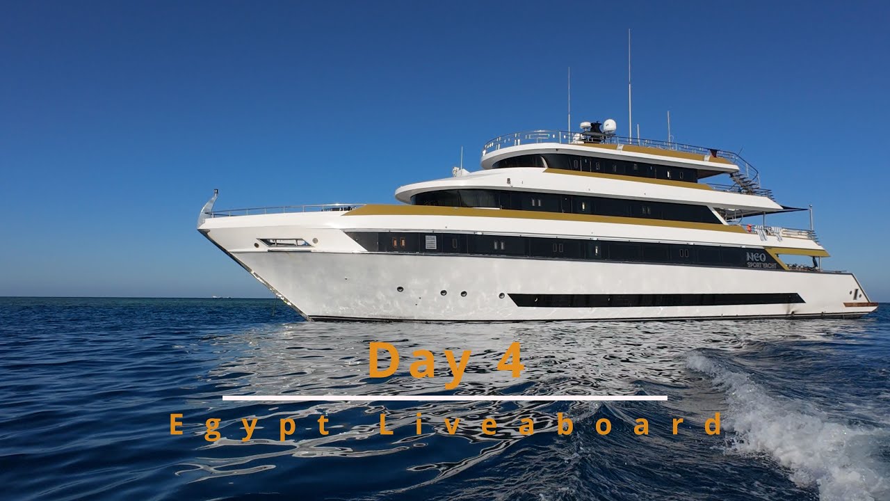 Egypt Liveaboard Day 4 | Wild Dolphins Up Close