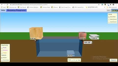 Buoyancy Playground!!