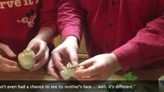 The Balut Challenge