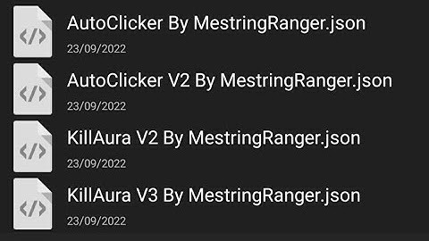 New Scripts For Garena Blockman GO By MestringGaming