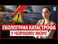 РОСІЙСЬКІ АТАКИ ЗНИЩУЮТЬ ЧОРНЕ МОРЕ! Загроза для ТУРИСТІВ на пляжах та підводних жителів