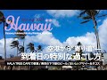 【2025春ハワイ】空港からカアアワへ！海が見えるカフェから始まる1日 │ 青空の下でビールを楽しんでからの │ カフク、ハレイワを回ってワヒアワで調達した晩ごはんは... │ Hawaii Vlog