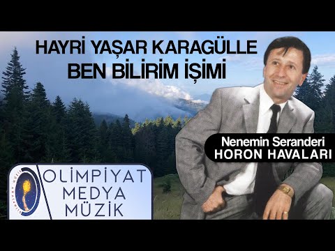 Hayri Yaşar Karagülle - Ben Bilirim İşimi