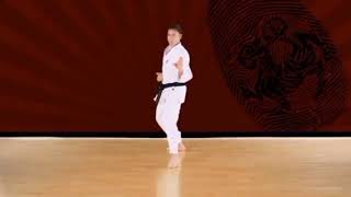 Empi (SLOW) - Shotokan Karate Kata JKA