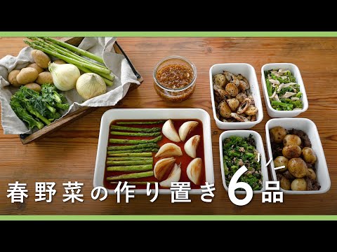 【春野菜で作り置き6品】食材の選び方や調理ポイントも解説！旬を味わう♪作り置きレシピ集