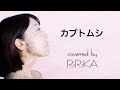 この季節に聴きたい！色褪せない名曲「カブトムシ」をRiRiKAが歌ってみた