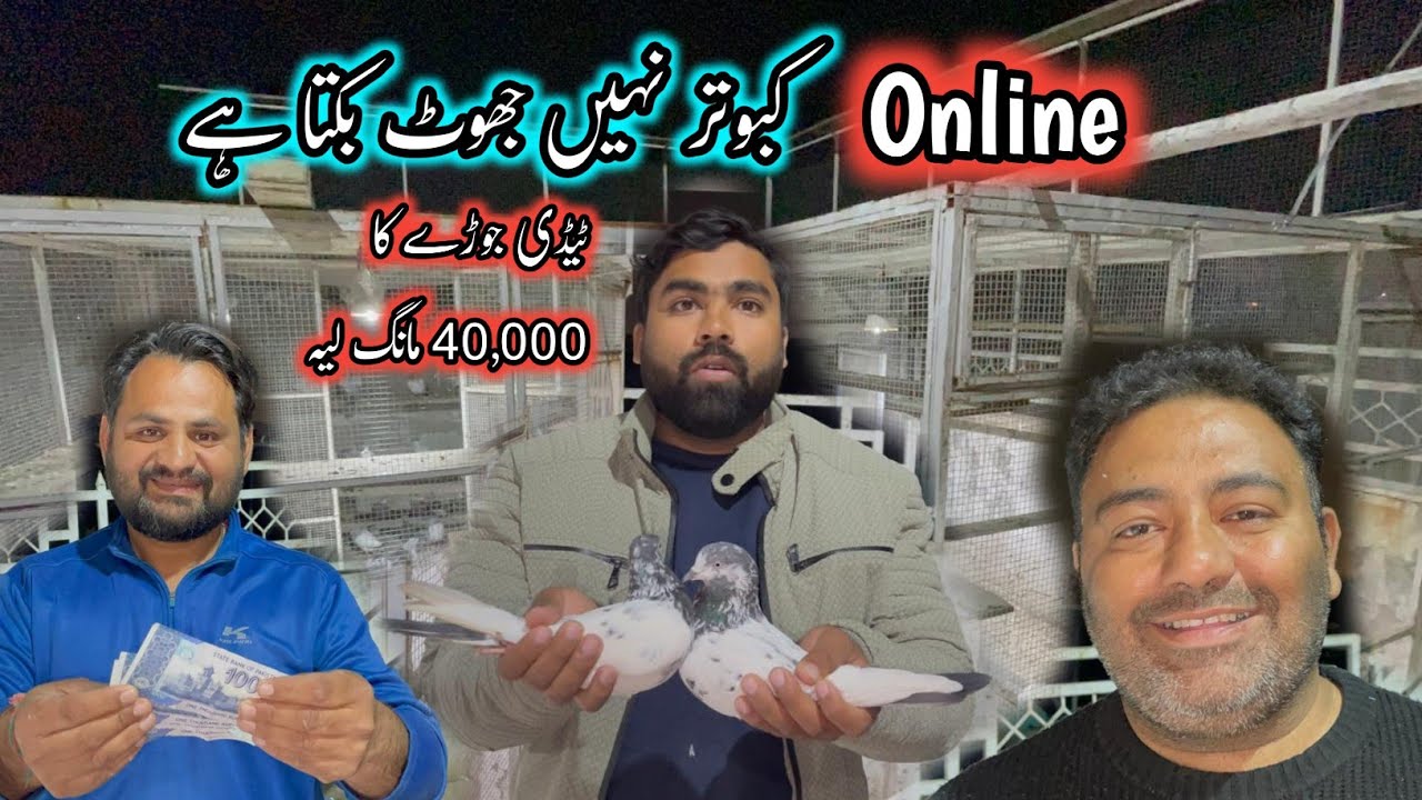 Ustad Jadi Ne Taddy Jora Ka 40,000 Mang Liya 😅