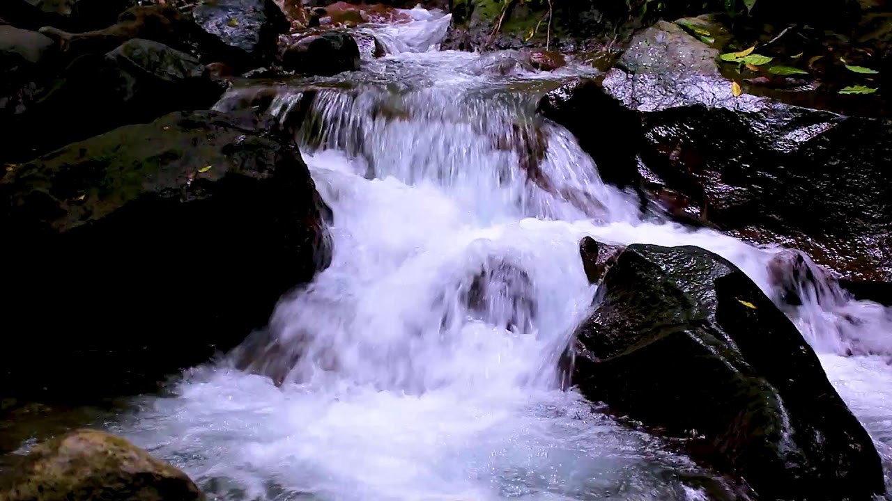 Forest Stream Ambient Water Run | Mountain Flow Sounds & Gentle Sleep Noise