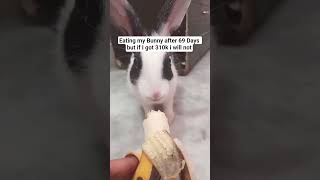 Day 58.99 #bunny #deadend #savemybunny #timeleft #runout