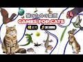 FELINE FUN | ULTIMATE CAT GAMES MARATHON | SPECIAL EDITION 10HOURS